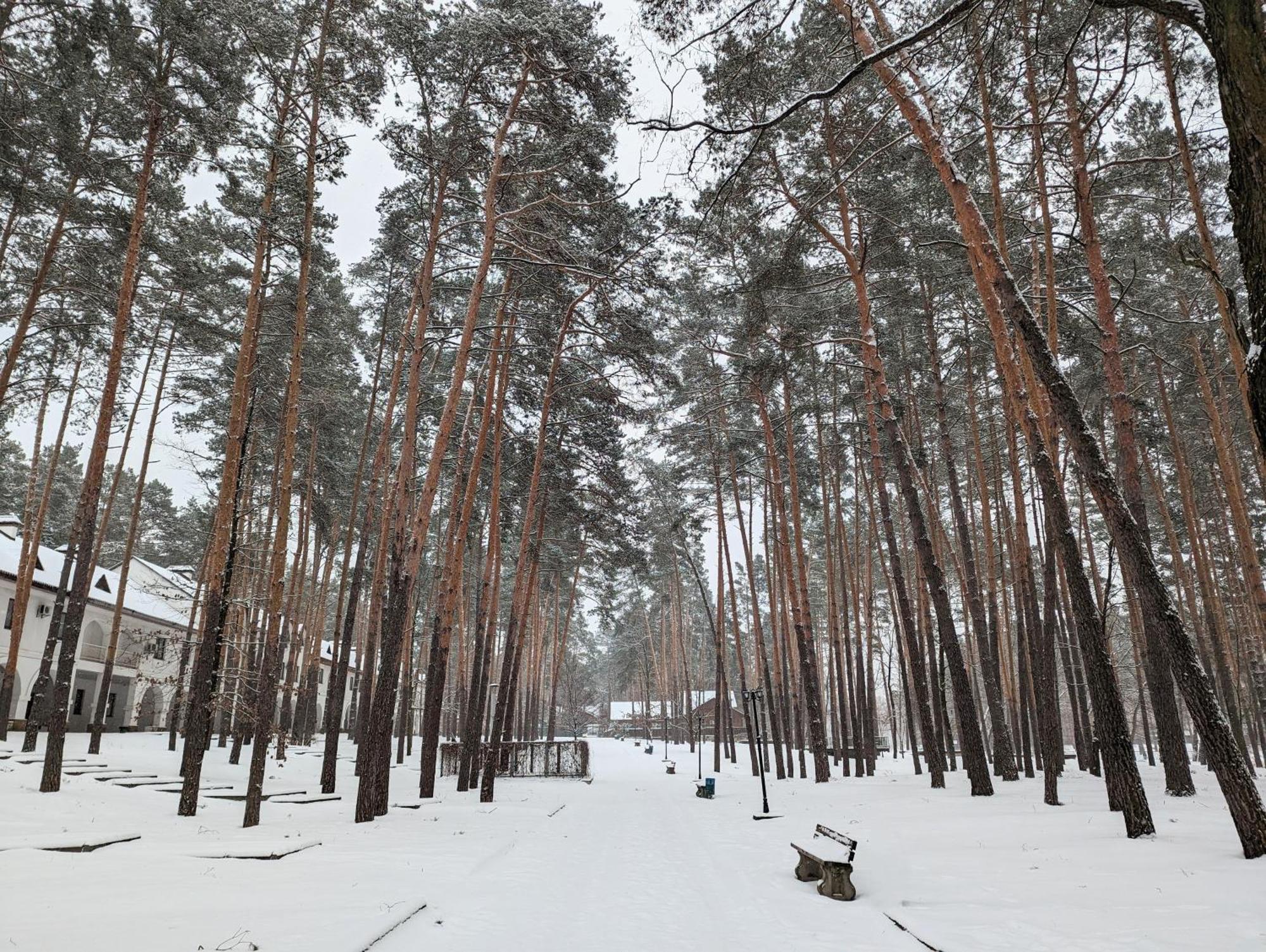 Hotel Заміський Комплекс "Пуща Лісна" Moschun Exterior foto